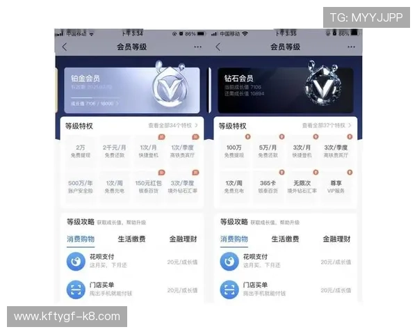 如何利用k8凯发国际娱乐大厅的积分系统与会员等级,获得更多专属福利与特权 如何利用k8凯发国际娱乐大厅的积分系统与会员等级,获得更多专属福利与特权