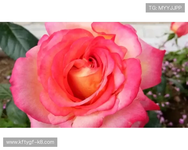 凯发直播线上手机版下载安装过程中需要注意的安全事项 凯发直播线上手机版下载安装过程中需要注意的安全事项